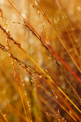 Similar image 8176301