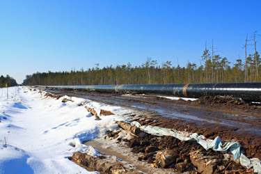 Similar image 8176319