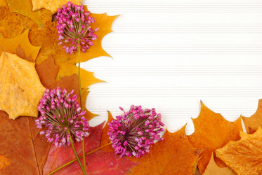 Similar image 8176376