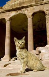 Similar image 8176414