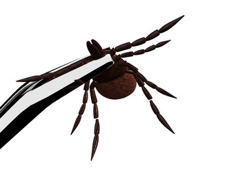 Similar image 8176422