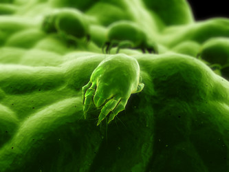 Similar image 8176449