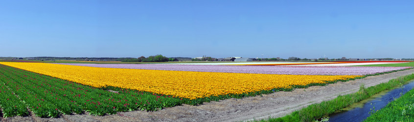 Similar image 8176531