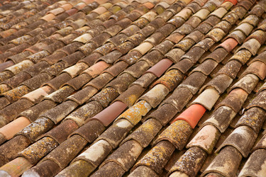 Similar image 8176545