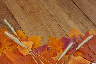 Similar image 8176571