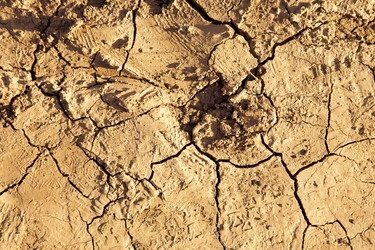 Similar image 8176626