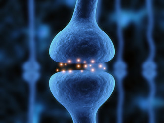 Similar image 8176654