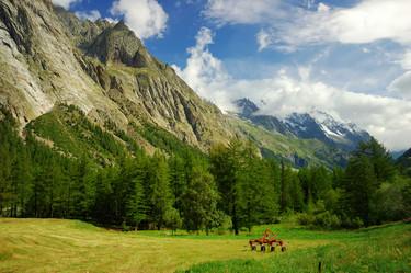 Similar image 8176657