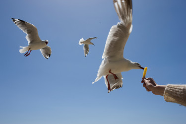 Similar image 8176679