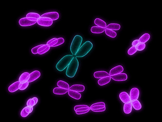 Similar image 8176700