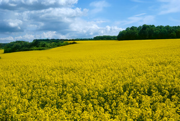 Similar image 8176718