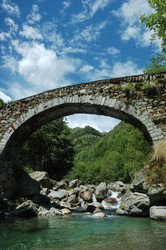 Similar image 8176736