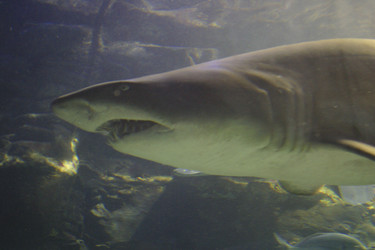 Similar image 8176804