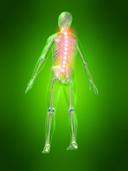 Similar image 8176851