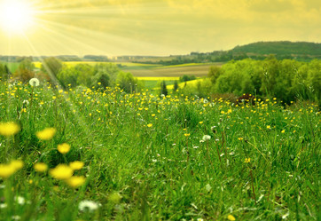 Similar image 8176855