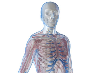 Similar image 8176866