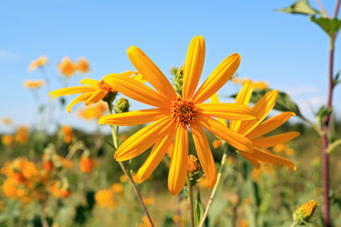 Similar image 8176881