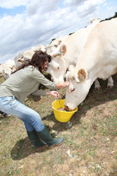 Similar image 8176891