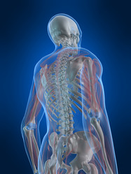 Similar image 8176898