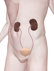 Similar image 8176900