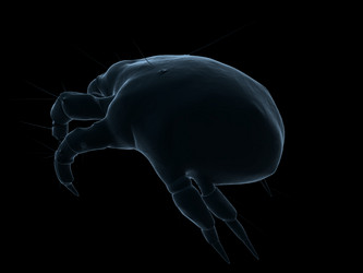 Similar image 8176936