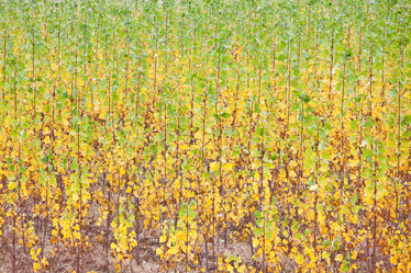 Similar image 8176953