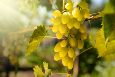 Similar image 8176994