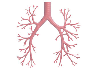 Similar image 8177023