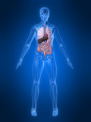 Similar image 8177025