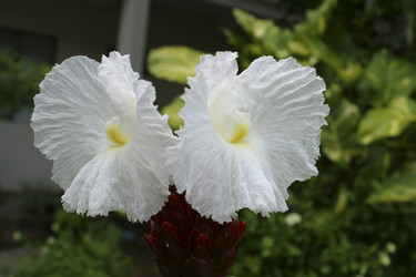 Similar image 8177036