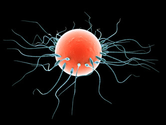 Similar image 8177049