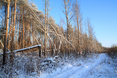 Similar image 8177055