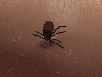 Similar image 8177064