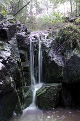 Similar image 8177092