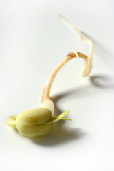 Similar image 8177096