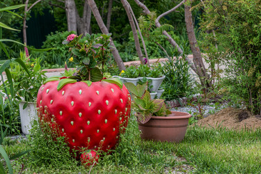 Similar image 8177121