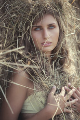 Similar image 8177134