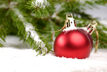 Similar image 8177162