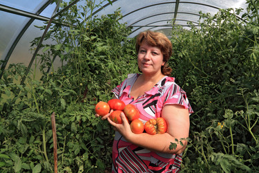 Similar image 8177165