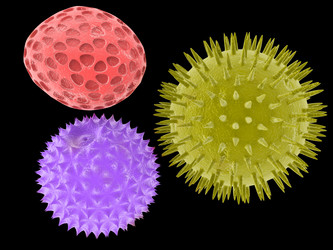 Similar image 8177172