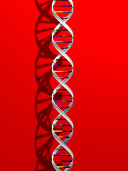 Similar image 8177174