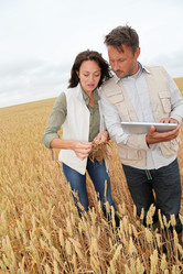 Similar image 8177181