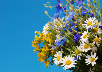 Similar image 8177214