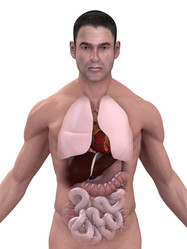 Similar image 8177220