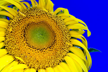 Similar image 8177232