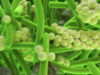 Similar image 8177253