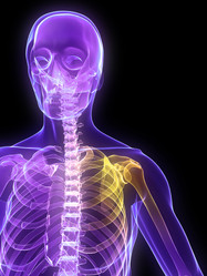 Similar image 8177257