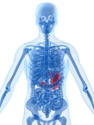 Similar image 8177262