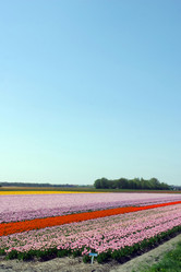 Similar image 8177283