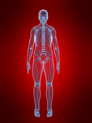 Similar image 8177295